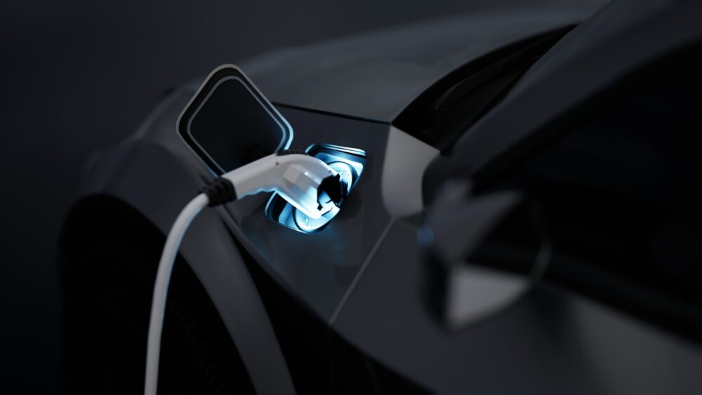 What were the most popular electric vehicles in 2024?