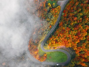 Overhead aerial view of winding mountain road in autumn forest covered by morning fog. Moselle Valley, Germany.