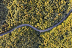 Aerial view of curving road through colourful autumn forest